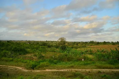 DSC_4335 (Large).JPG